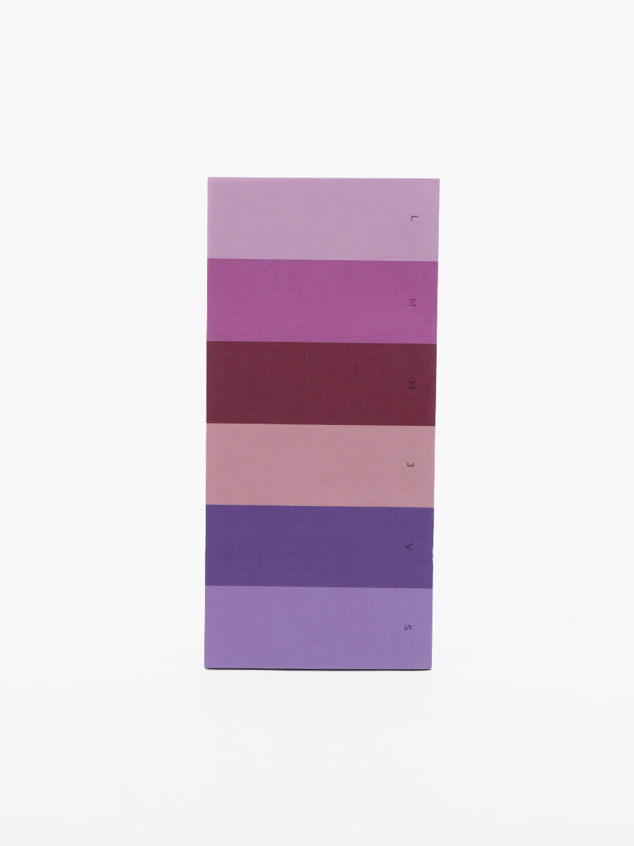 PLANIFIFICADOR SEMANAL POR DIA - MULTICOLOR 