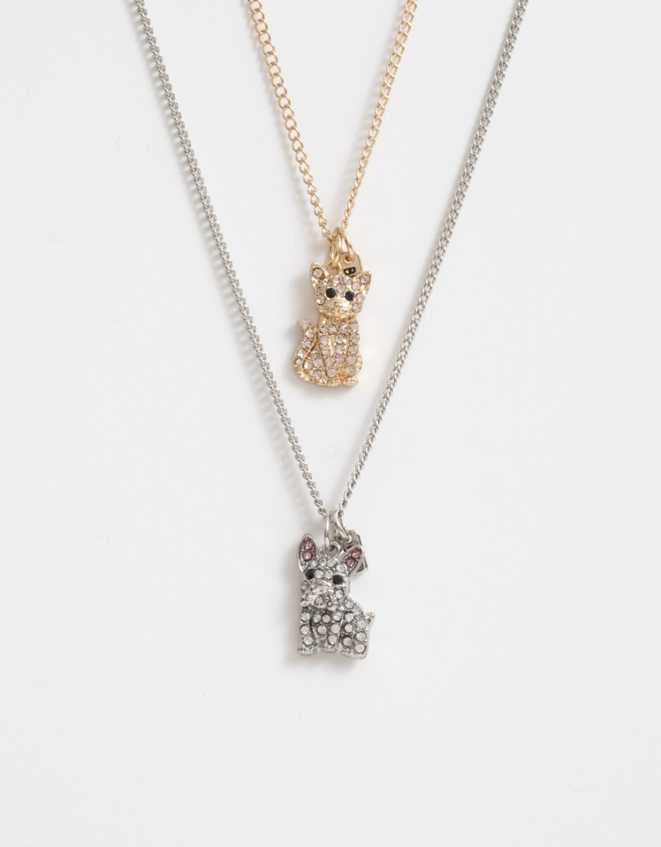 Collar Para Compartir De Gato Y Perro 