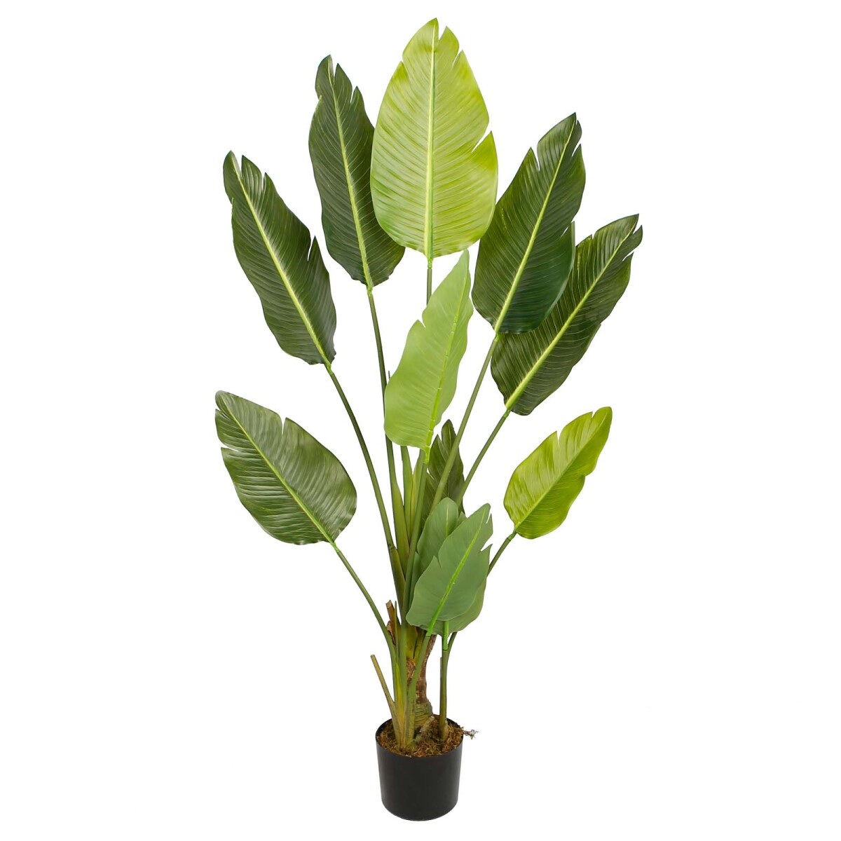 STRELITZIA - ARTIFICIAL VERDE ARTIFICIAL Y8480-11-11-3PS 