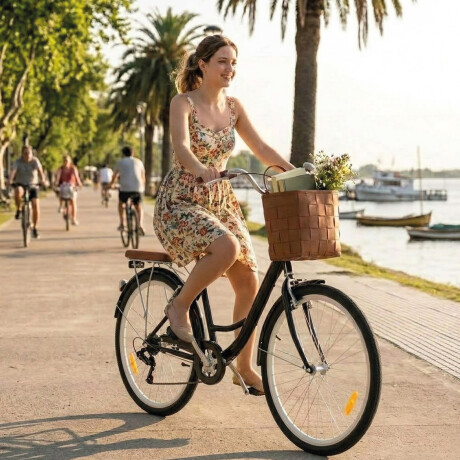 Bicicleta Urbana Rodado 26 con Canasto Vintage Negro