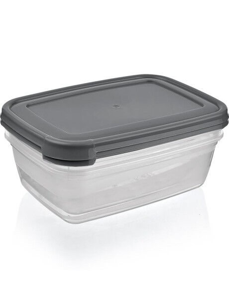 SETX2 UNID RECIPIENTE RECTANGULAR 2000ML "COOK&KEEP" SURTIDO EN 3 COLORES CELETE, GRIS , ROSA 24x17.5x9.5cms SETX2 UNID RECIPIENTE RECTANGULAR 2000ML "COOK&KEEP" SURTIDO EN 3 COLORES CELETE, GRIS , ROSA 24x17.5x9.5cms