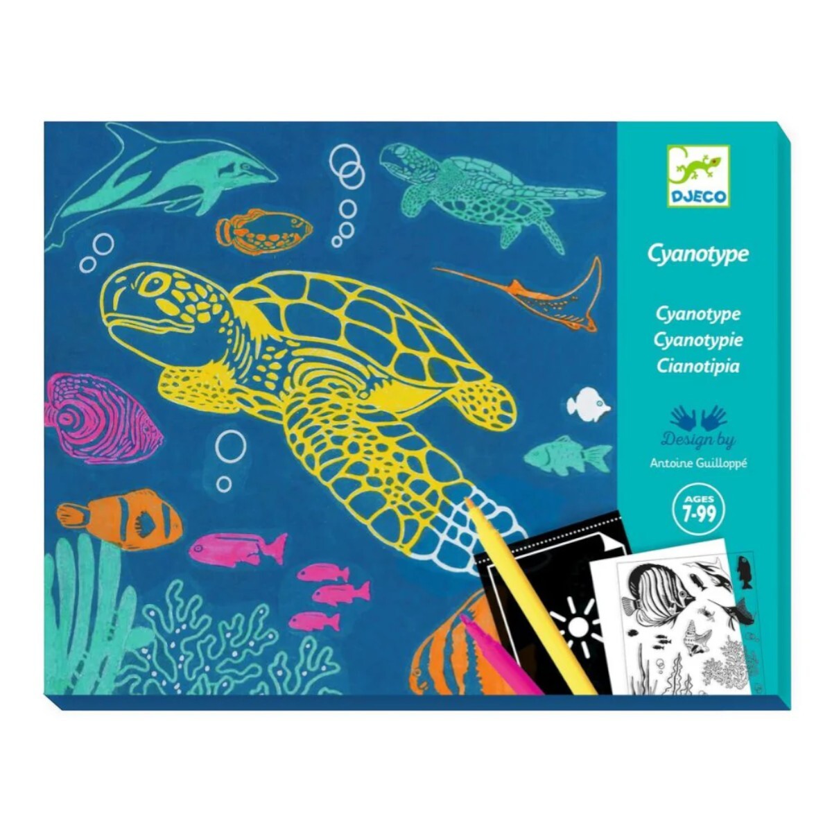 Kit Creativo Cyanotype Ultramarine Djeco 