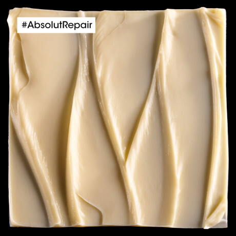Mascarilla Capilar L'Oréal Professionnel Absolut Repair 250ml Mascarilla Capilar L'Oréal Professionnel Absolut Repair 250ml