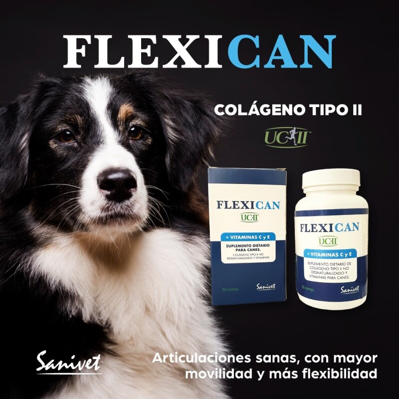 FLEXICAN SUPLEMENTO ARTICULAR CON COLAGENO PARA PERROS 30 COMPRIMIDOS FLEXICAN SUPLEMENTO ARTICULAR CON COLAGENO PARA PERROS 30 COMPRIMIDOS