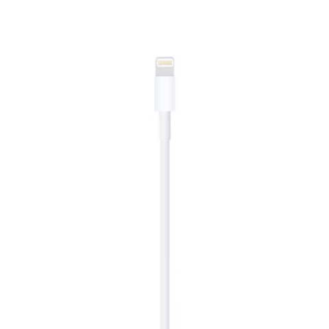 USB-C to Lightning Cable (1m)