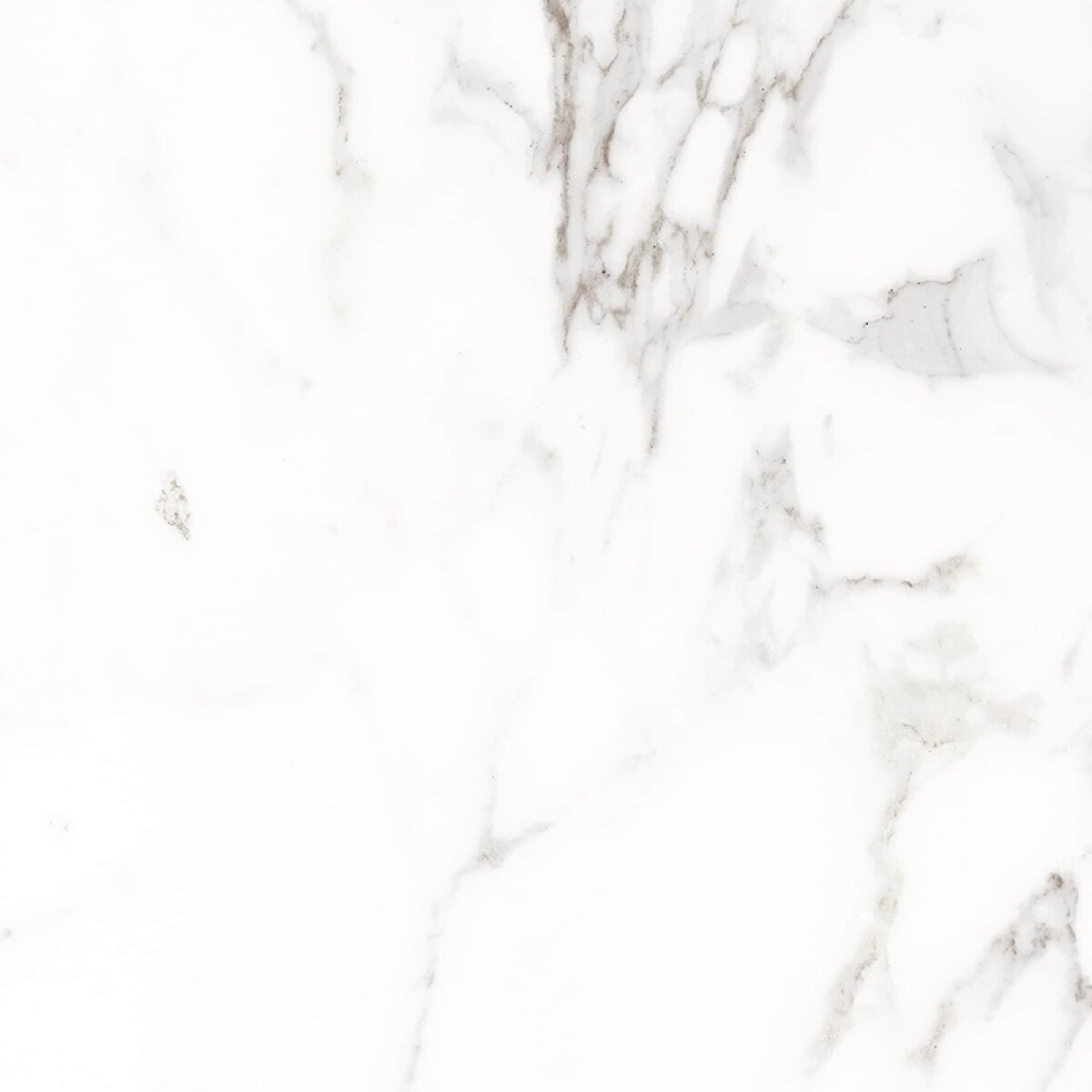 Porcelanato Palatina Blanco Mate Rectificado "a" 120x120 Cm 