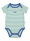 BODY KOLER VERDE