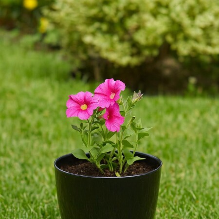 MACETA REDONDA 16 CM UMBRA NEGRO NEGRO