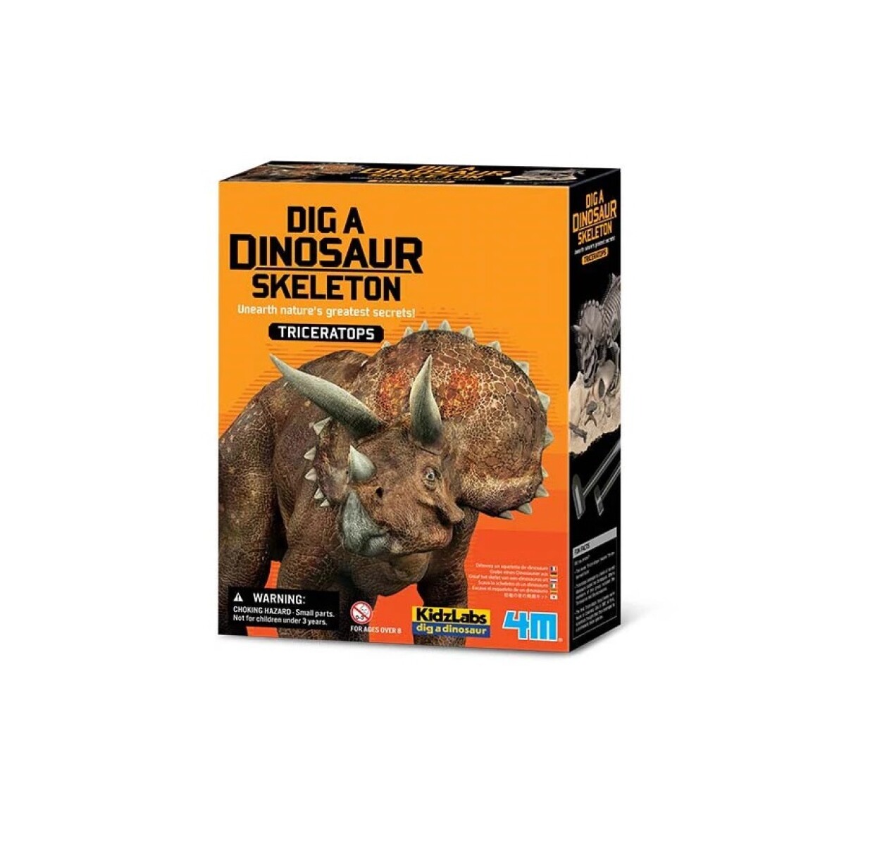 Kit de Excavación Triceratops – Descubre Tu Dinosaurio 