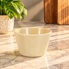 Dip vaso 9x6.5 cms Dip vaso 9x6.5 cms