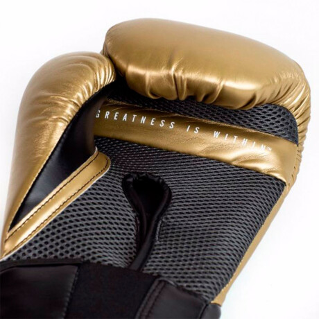 Guantes De Boxeo Negros-Dorado Everlast Training Gloves