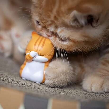 Mini gatitos emociones decorativos para regalo o colección Sc