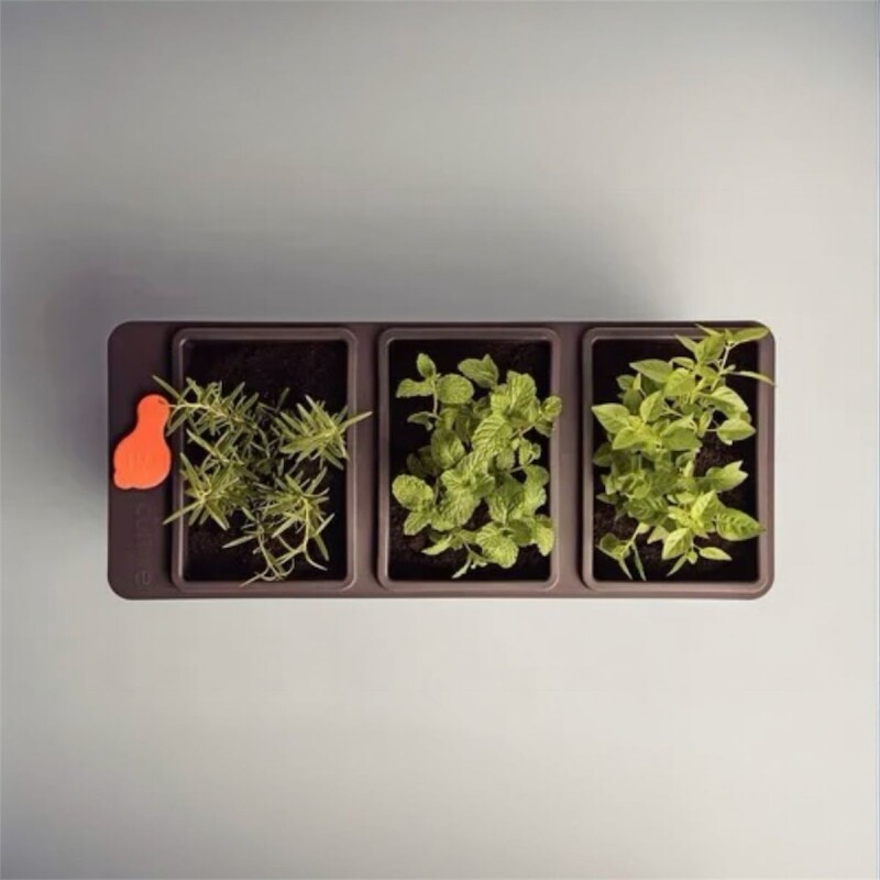 Macetero autorregable Macetero autorregable