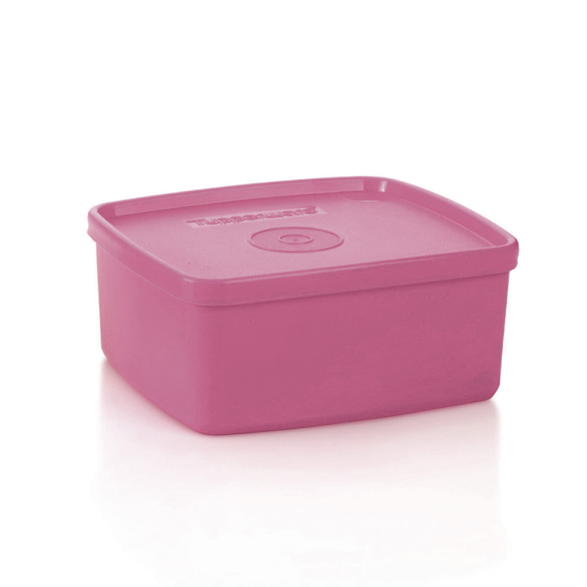PRACTIFREEZEE TUPPERWARE 500 ML - LILA 