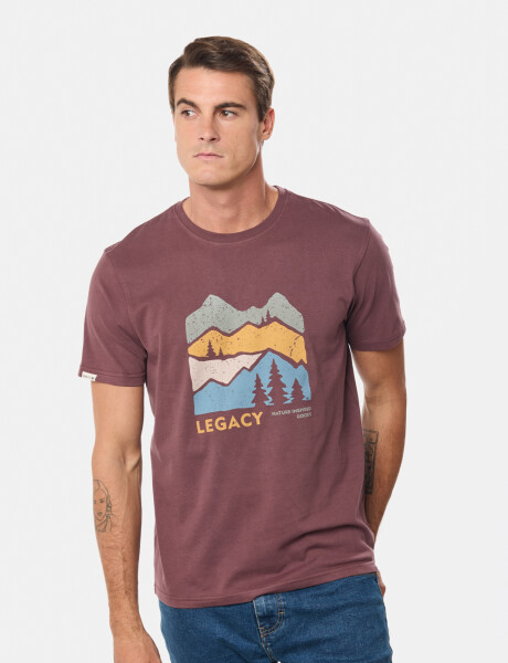 REMERA ESTAMPADA Bordo