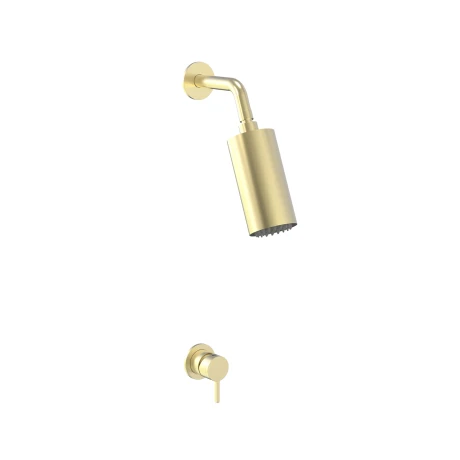 Griferia Ducha Spot Acero Oro Cepillado Incluye Brazo Y Volante 000