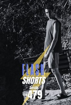 HomeGrupoProductos2 FLASH ENERO 2026