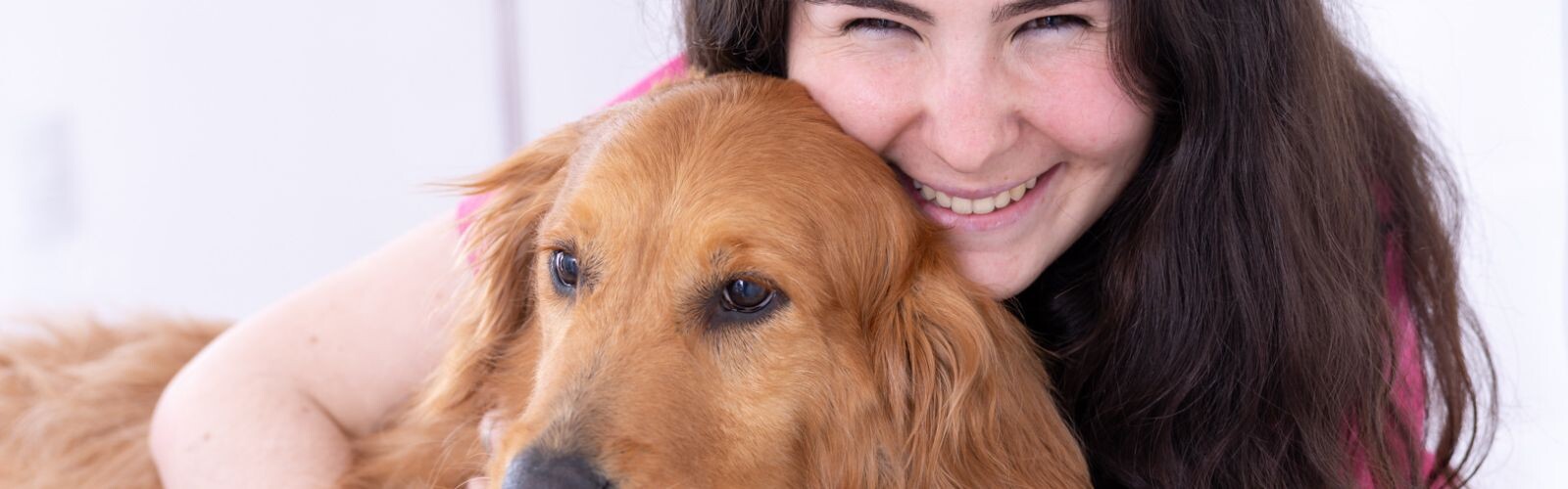 Servicios Comparacion