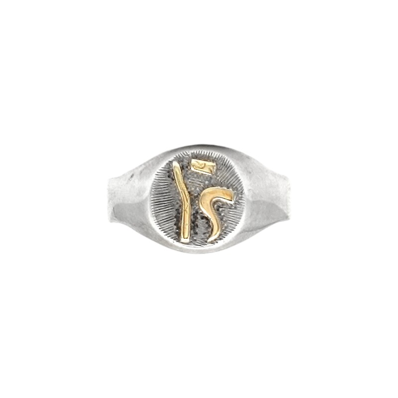 Anillo Profesión Educación Física -Plata y Oro-Sin Piedra-AP5019 sinpiedra