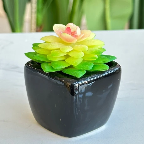 Planta Suculenta Artificial Maceta Cerámica Alto 7cm x Ancho 5cm Planta Suculenta Artificial Maceta Cerámica Alto 7cm x Ancho 5cm