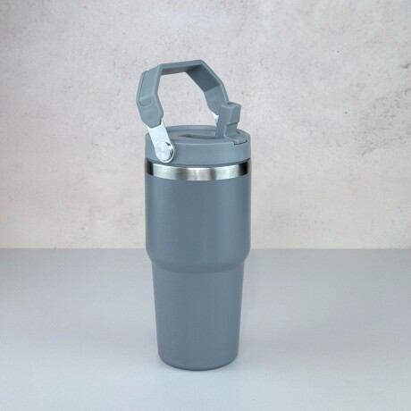 Vaso Térmico de Acero Inoxidable con Asa 600ML | Gris Vaso Térmico de Acero Inoxidable con Asa 600ML | Gris