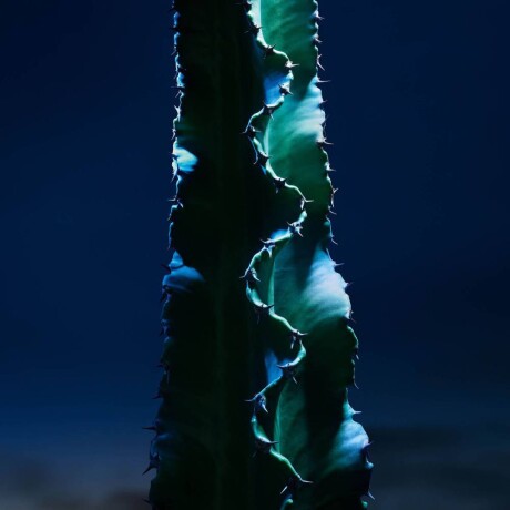 Gel de Limpieza Dior Sauvage The Cleanser 125ml Gel de Limpieza Dior Sauvage The Cleanser 125ml