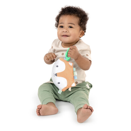 Colgante de Coche Crinklet KITT Bright Starts Colgante de Coche Crinklet KITT Bright Starts
