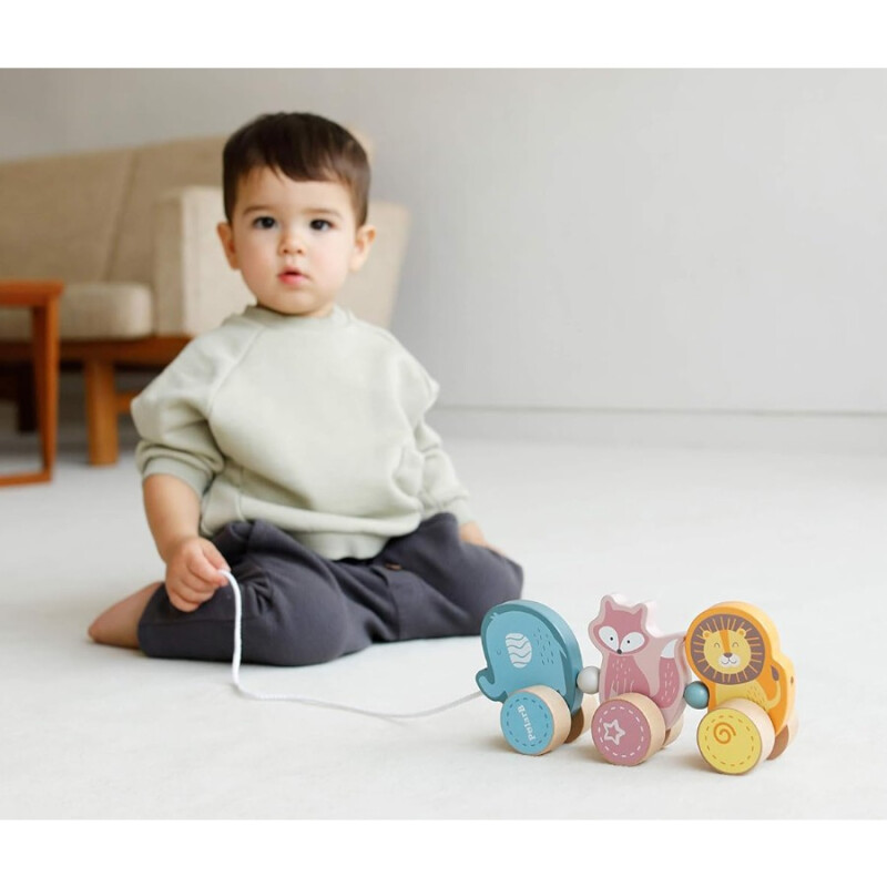 Juego de Arrastre Animales Polar B Juego de Arrastre Animales Polar B