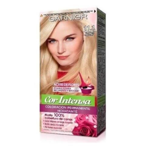 Garnier Nutrisse Cor intensa Tono 11.1