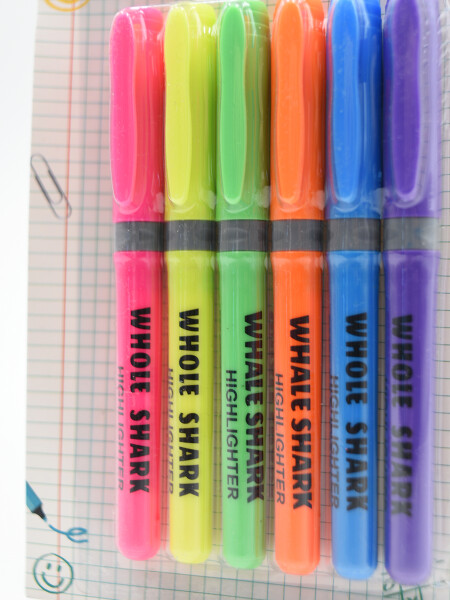 RESALTADORES x 6 MULTICOLOR