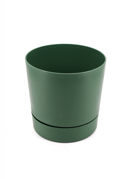 MACETA BEGONIA VERDE