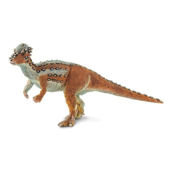 Juguete Safari Figura Dinosaurio Pachycephalosaurus Niño Juguete Safari Figura Dinosaurio Pachycephalosaurus Niño