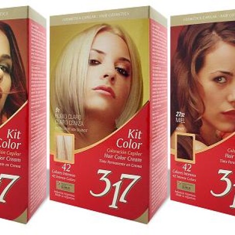TINTA KIT 317 COBRIZO 25.42 TINTA KIT 317 COBRIZO 25.42
