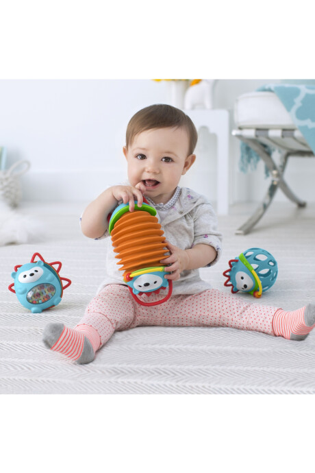 Acordeón infantil, diseño puercoespín Acordeón infantil, diseño puercoespín