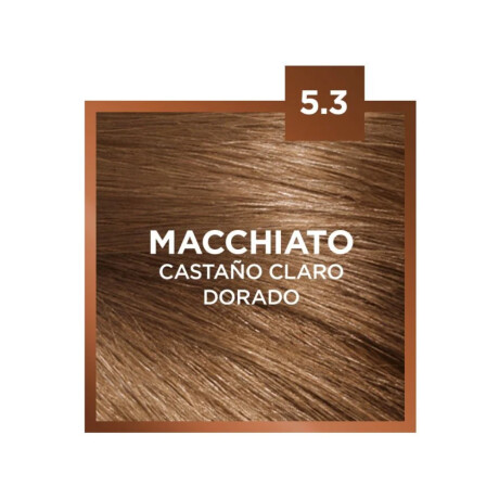 Tinta L'Oréal Paris Excellence Creme N°5.3 Castaño Claro Dorado Tinta L'Oréal Paris Excellence Creme N°5.3 Castaño Claro Dorado