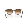 Ray Ban Rb2204 1431/51