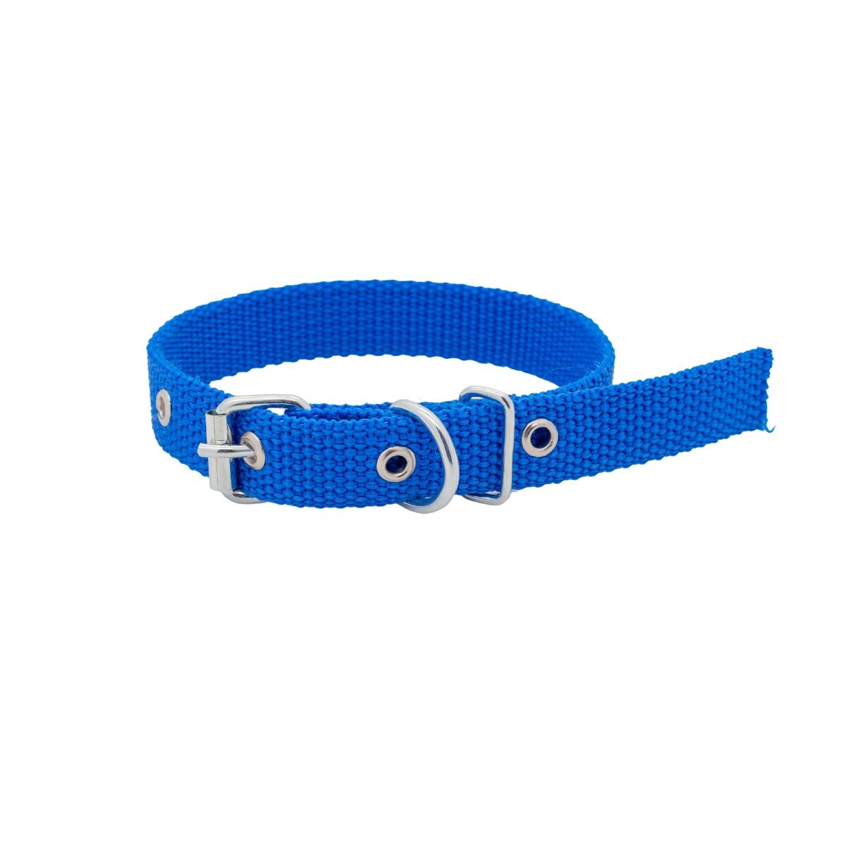 COLLAR CINTA N° 2 - AZUL FRANCIA 