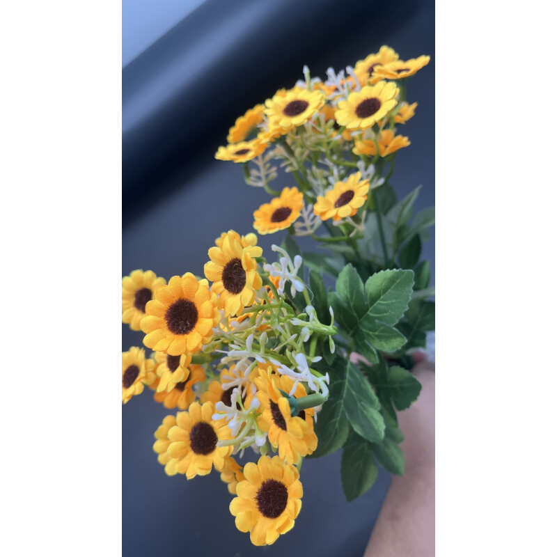 Ramo de Margaritas Mini Ramo de Margaritas Mini