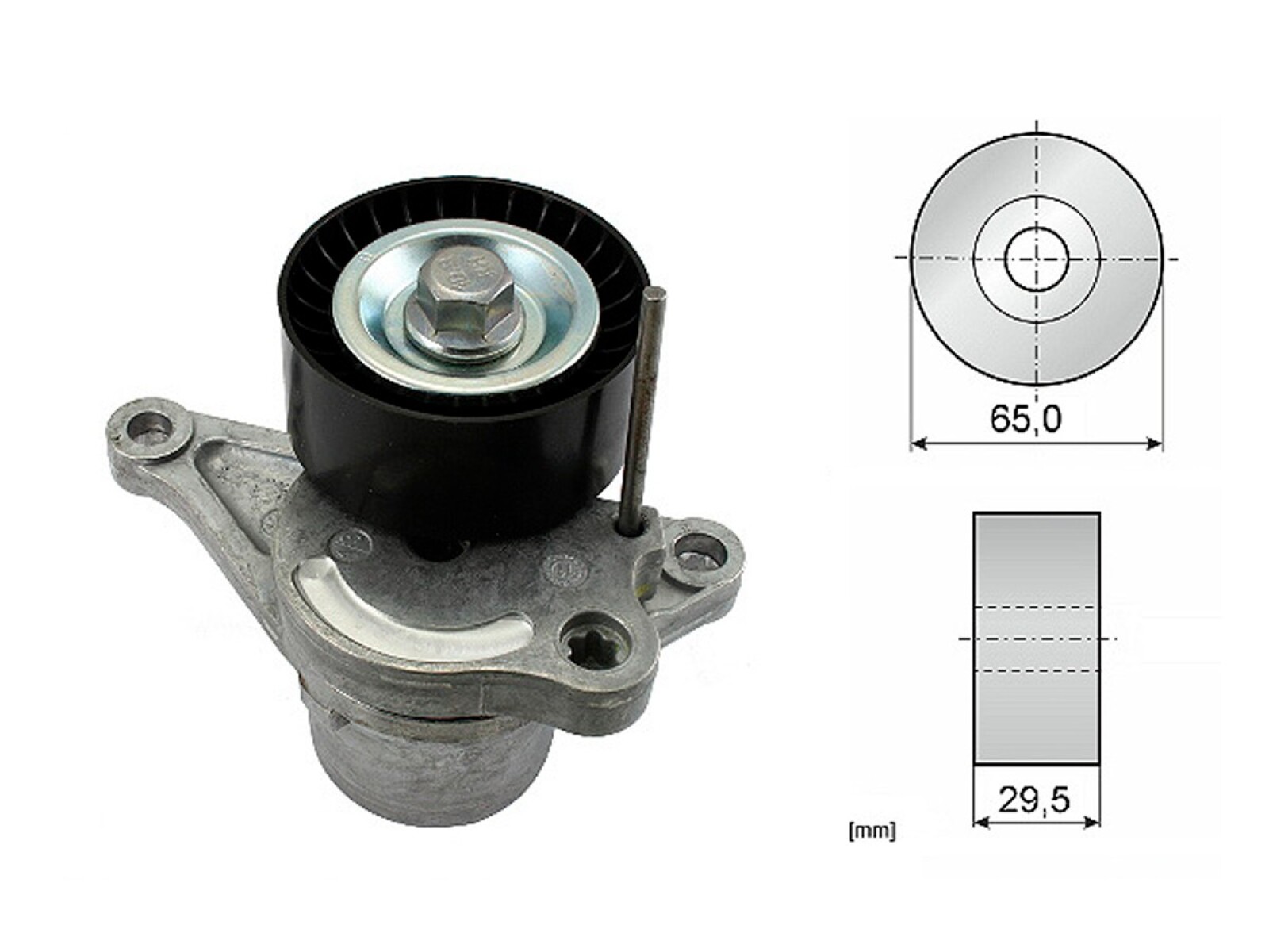 Tensor De La Correa Renault Master 13-25 