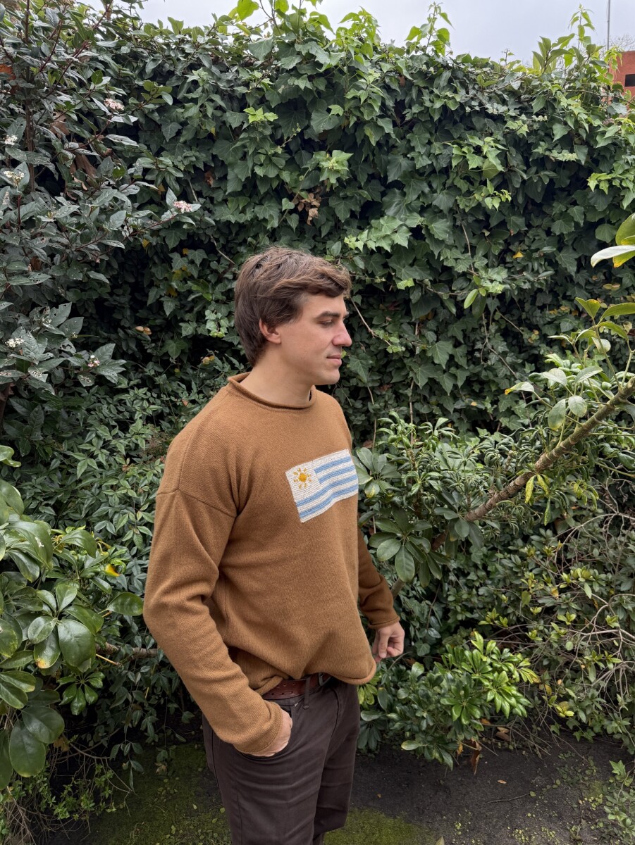 Flag Wool Sweater Men - Camel 
