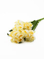 FLOR DE CLIVIA BLANCO