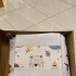 Sabanas minicuna colecho Little Ones oso FOREST