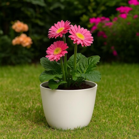 MACETA REDONDA 27 CM UMBRA BLANCA Blanco