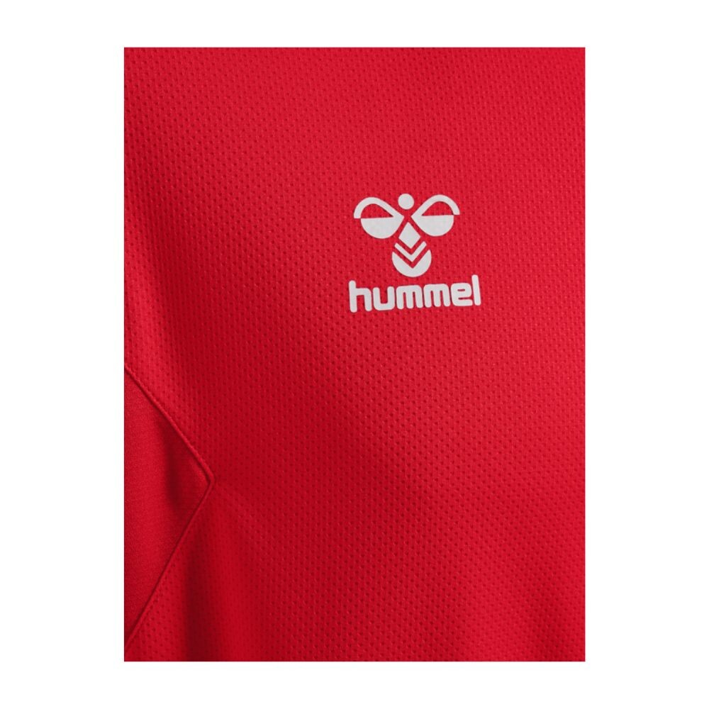 BUZO AUTHENTIC PL HOODIE UNISEX ROJO