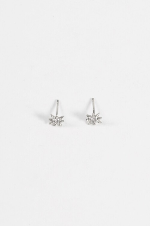 Caravanas pin estrella strass acero plateado