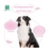 Anti Orines Perros y Gatos Spray 500 ml Anti Orines Perros y Gatos Spray 500 ml