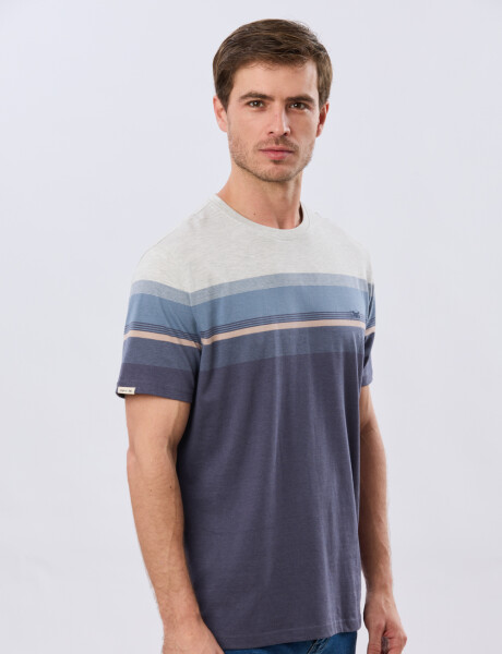 REMERA RAYADA DE ALGODÓN Azul