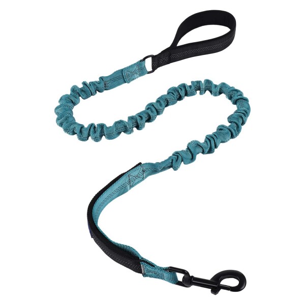 Correa Paseo Perro Elástico Doble Agarre Anti tirones 180cm Variante Color Turquesa