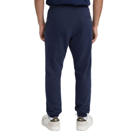 Pantalon Oneill Small Logo Azul