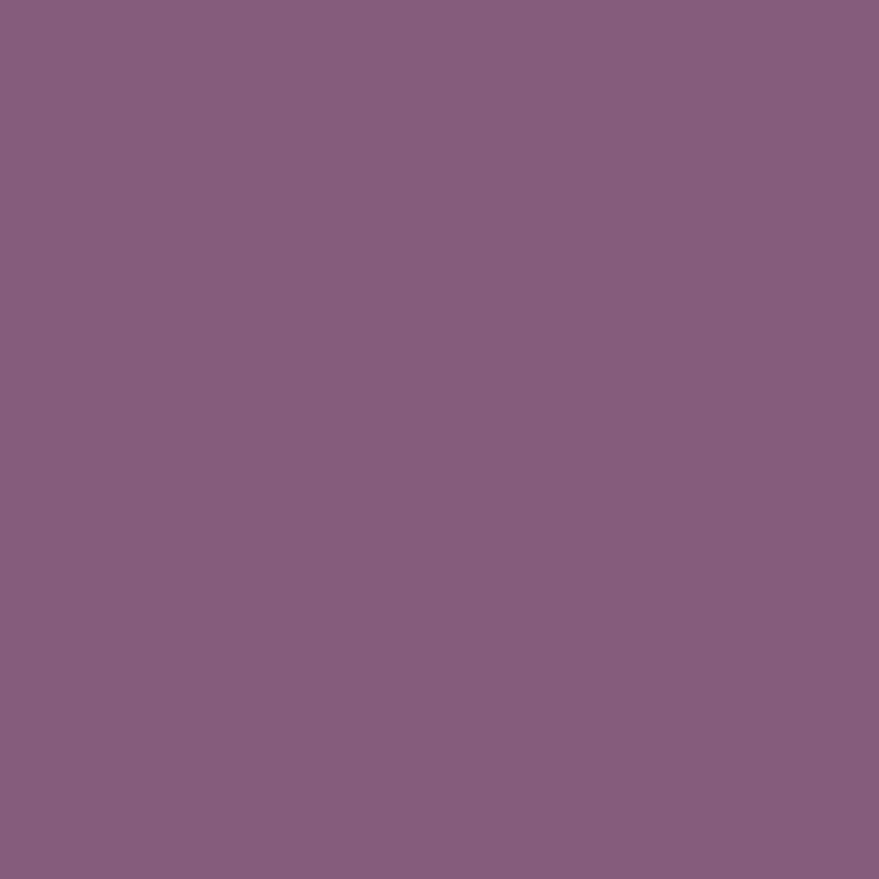 COLOR VIP 100 COLOR VIP 100